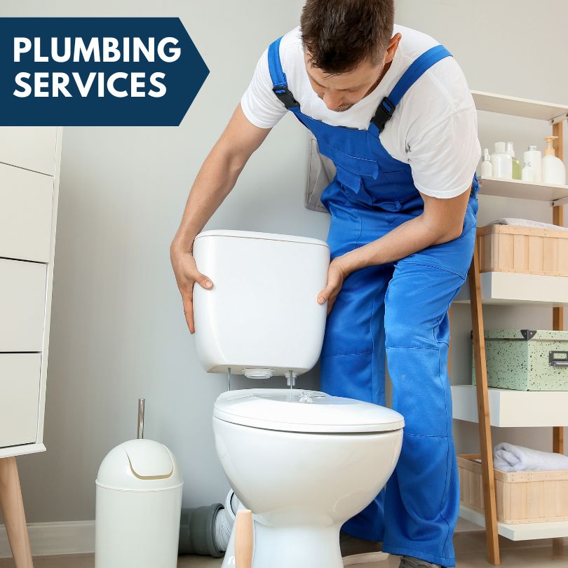 Plumbing Company in Alvin, IL